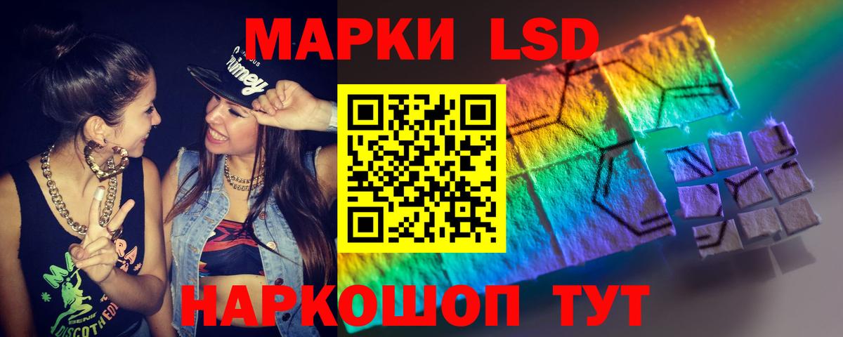 Новозыбков  ЛСД экстази ecstasy  Вход с VPN  ЛСД экстази ecstasy 