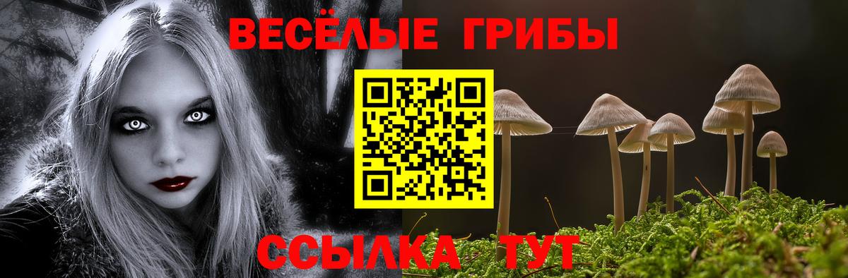 Галлюциногенные грибы мицелий Новозыбков